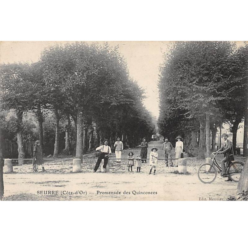 SEURRE - Promenade des Quinconces - très bon état