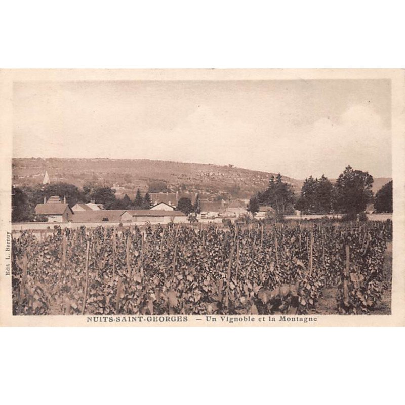 NUITS SAINT GEORGES - Un Vignoble et la Montagne - très bon état