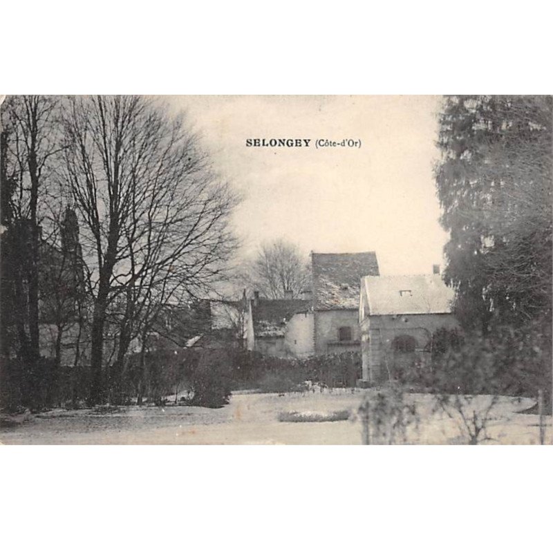 SELONGEY - très bon état