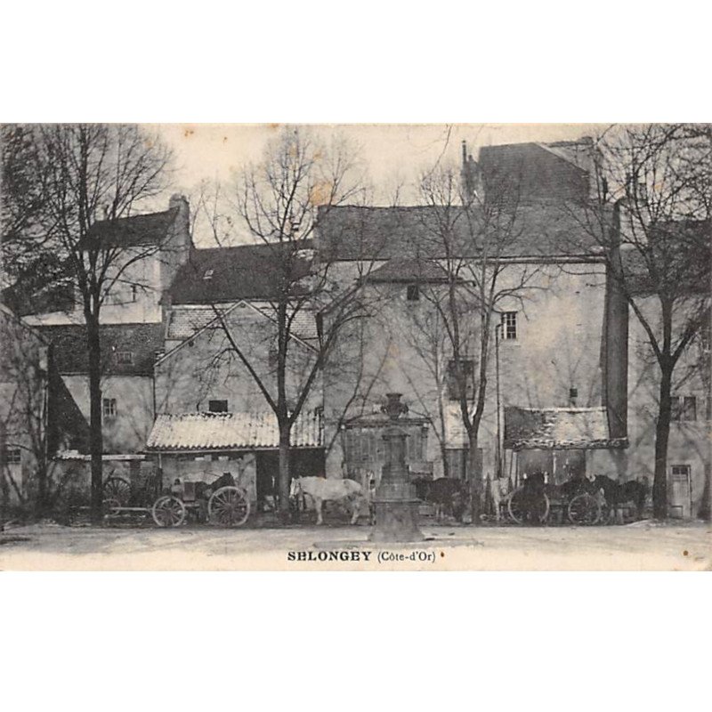 SELONGEY - très bon état