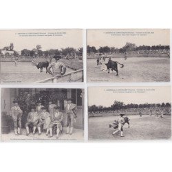 LONGCHAMPS(nantes) : arenes, courses de juillet 1906, loreto jeune, dans une largue de manteau 10 CPA - tres bon etat