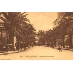 AJACCIO : avenue du premier-consul - tres bon etat