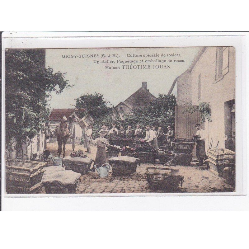 GRISY SUISNES : culture spéciale de rosiers - un atelier de la maison THEOTIME JOUAS - état