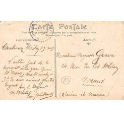 CHALIVOY MILON - Route de Blet - état