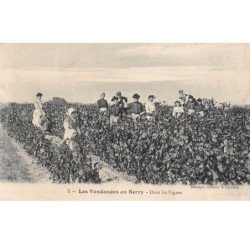 Les Vendanges en Berry - Dans les Vignes - très bon état