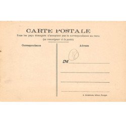 NEUVY SUR BARANGEON - Château de Saint Hubert - Une vue du Parc - très bon état