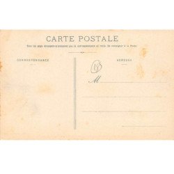 NEUVY SUR BARANGEON - Château de Saint Hubert - Façade principale - très bon état