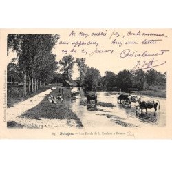 SOLOGNE - Les Bords de la Sauldre à Brinon - très bon état
