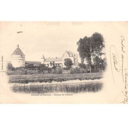 Environs de Sancoins - Château de Liènesse - très bon état