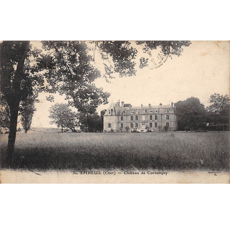 EPINEUIL - Château de Cornançay - très bon état