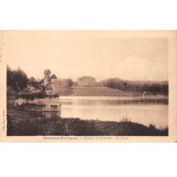 NEUVY SUR BARANGEON - Château de Saint Hubert - Le Miroir - très bon état