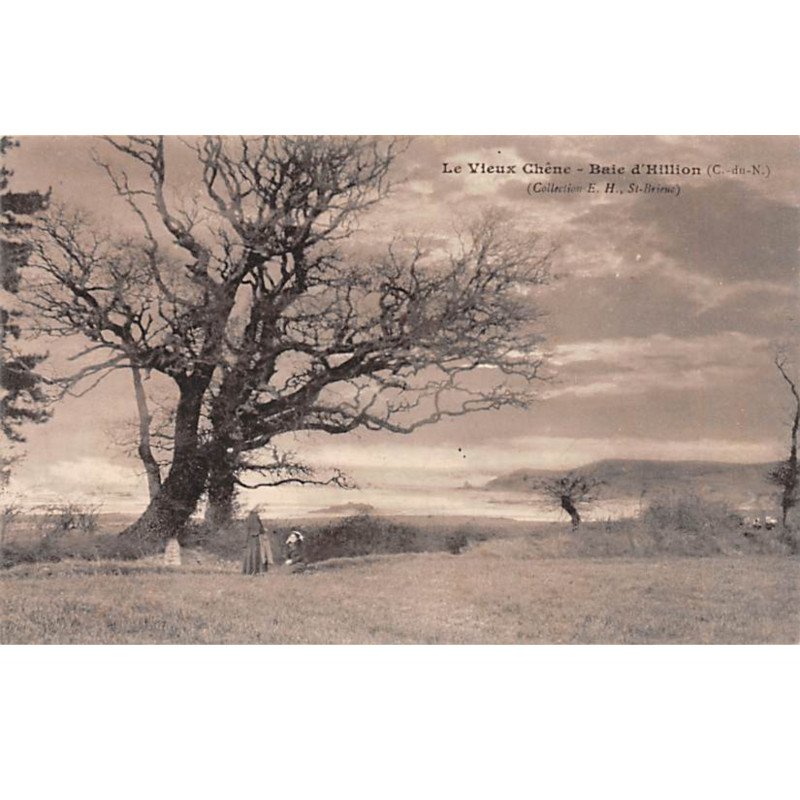 Le Vieux Chêne - Baie d'Hillion - très bon état